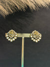 TRENDING EARINGS IN VICTORIAN POLISH