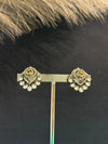 TRENDING EARINGS IN VICTORIAN POLISH